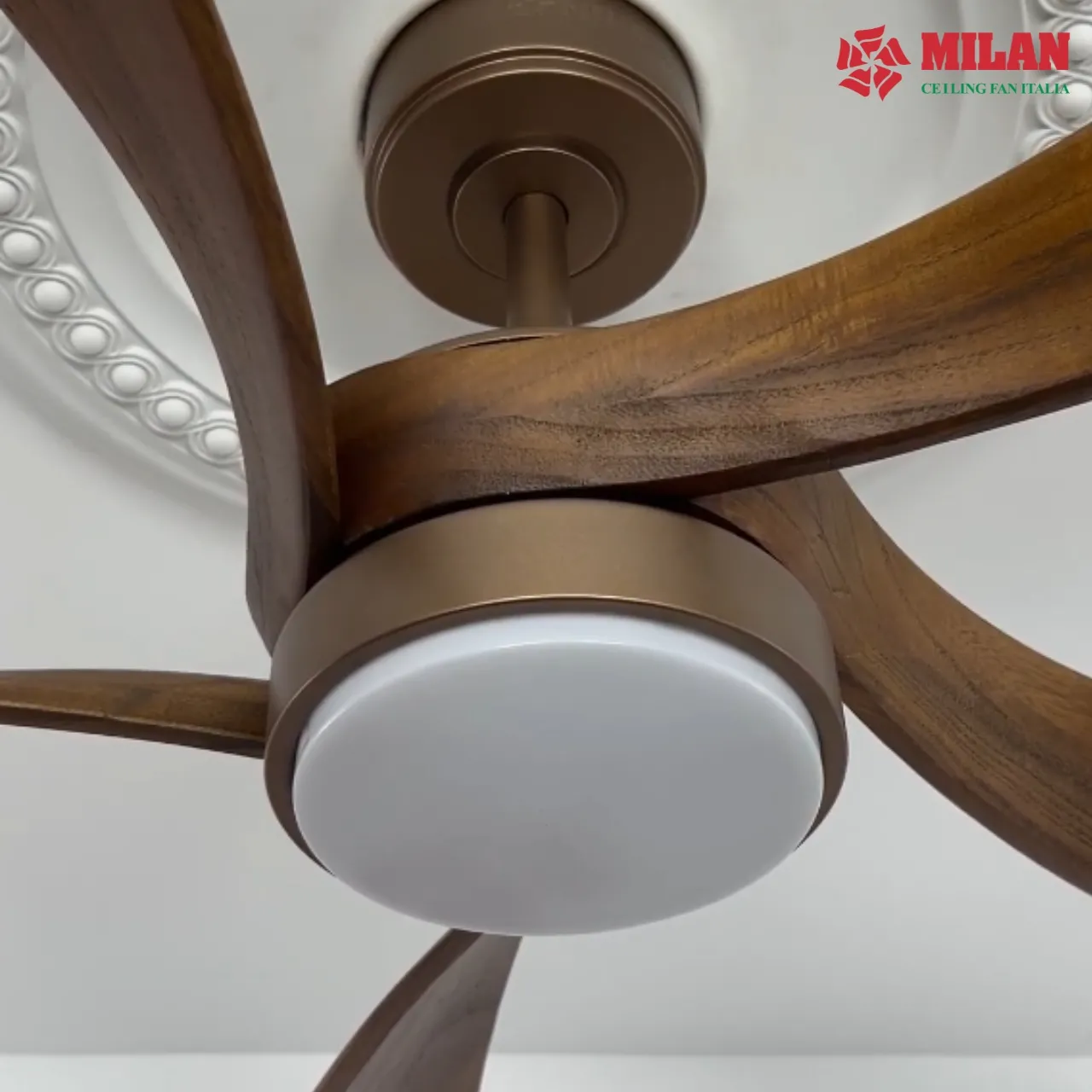 Quạt trần cánh gỗ tự nhiên FY516 sử dụng động cơ BLDC.